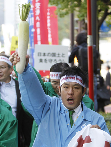 Japan farmers protest free trade as APEC meets