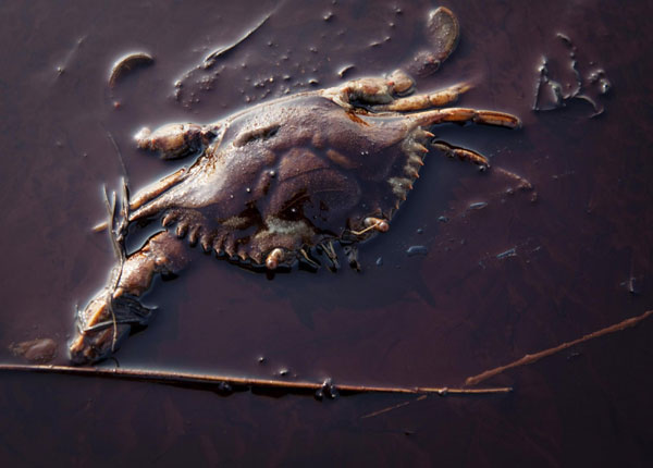 BP chairman: Deep-sea drilling must go on