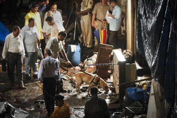 India confirms 17 dead from serial blasts