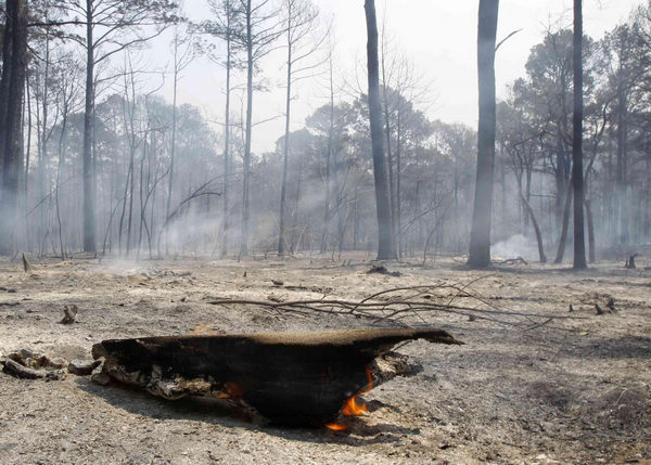 2 dead in Texas wildfires, homes destroyed