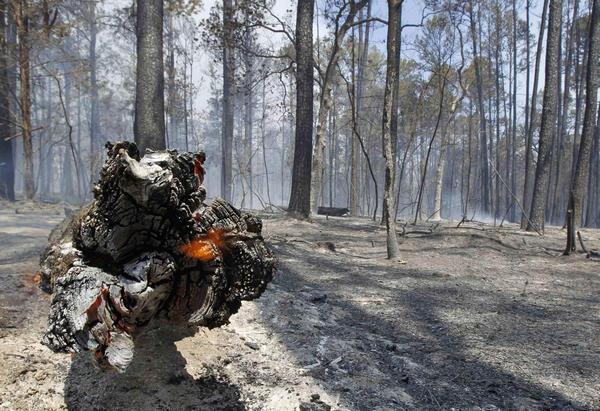 2 dead in Texas wildfires, homes destroyed