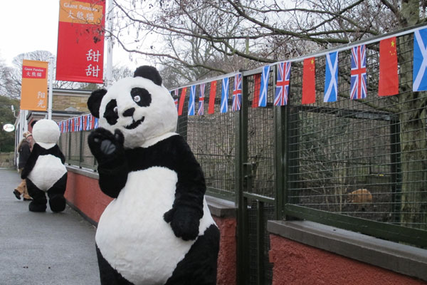 Opening of panda exhibit delights UK