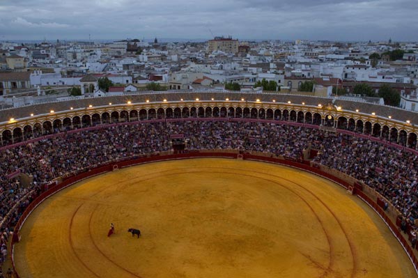 Spanish bullfighting raises dispute