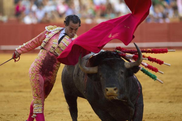 Spanish bullfighting raises dispute