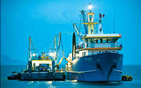 Fisheries sector reels in foreign investors