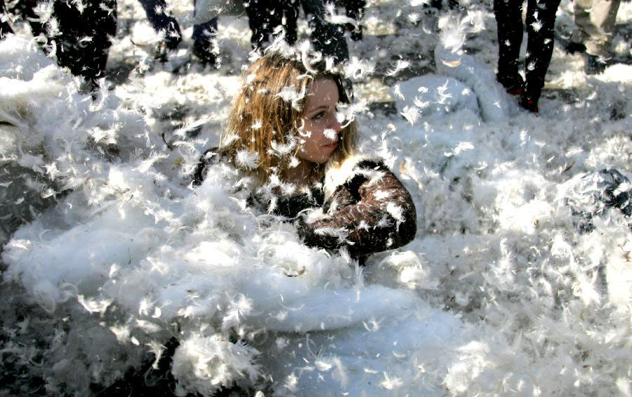 Enjoy the World Pillow Fight Day