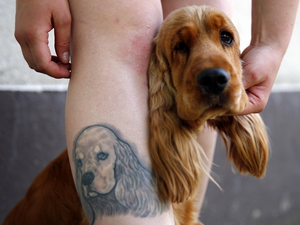 World Dog Show in Hungary