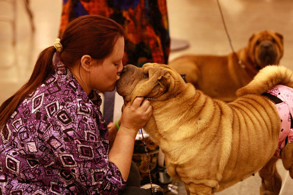 Biggest US dog show opens in Houston