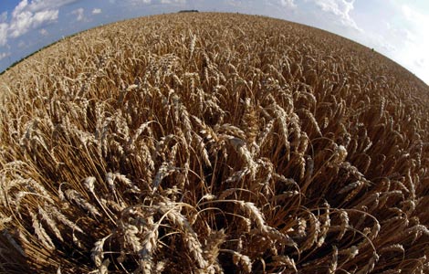 World Bank says global food prices fell