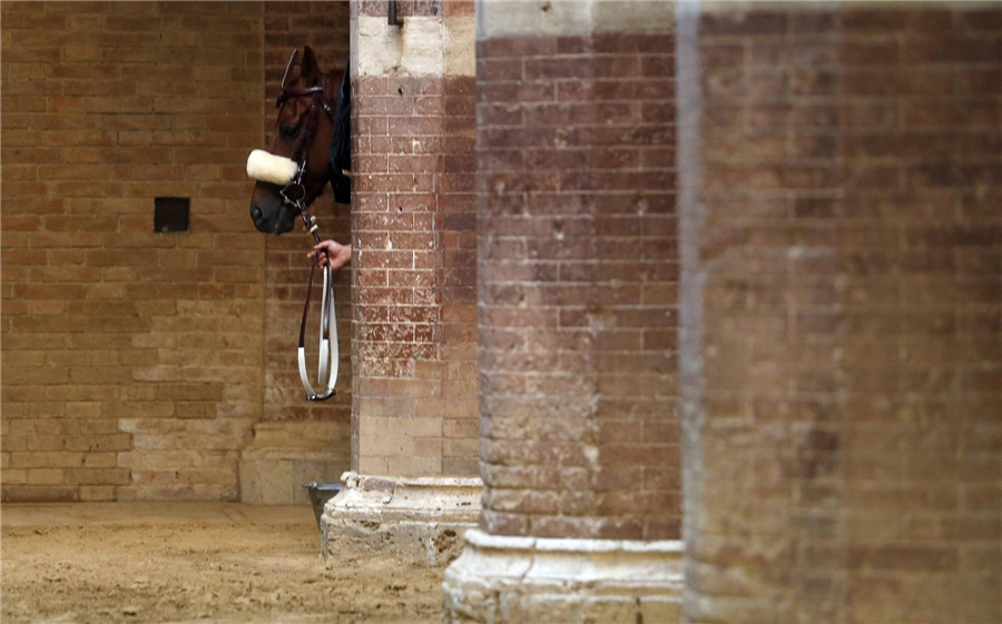 Horse races in Siena, Italy