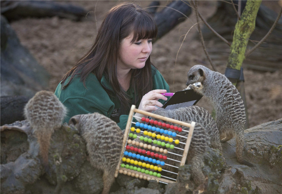 Animal stocktake at UK zoos