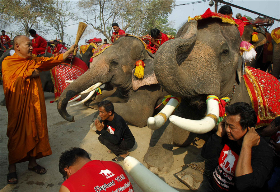 National Elephant Day in Thailand