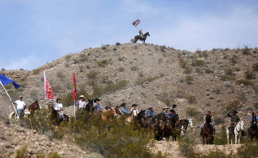 Rancher's son: Force was necessary to stop cattle seizure