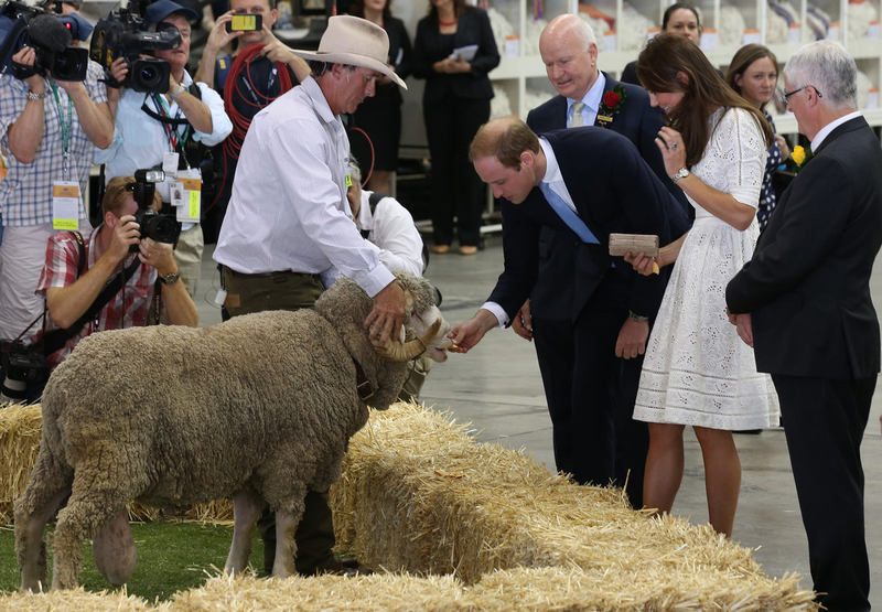 William, Kate visit Sydney Royal Easter Show