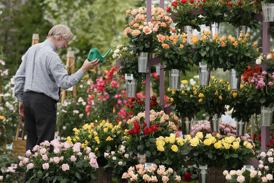 Chelsea Flower Show opens in London