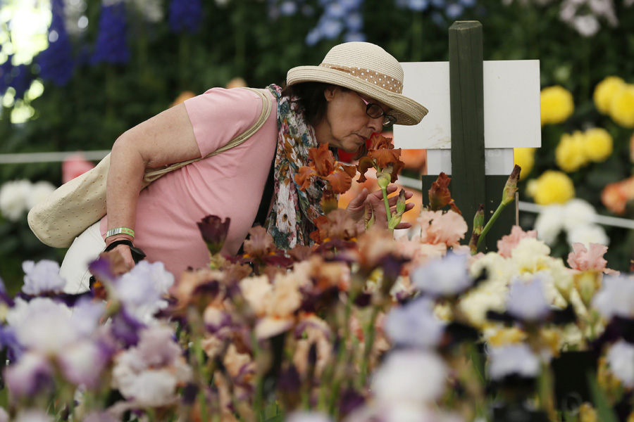 Chelsea Flower Show opens in London