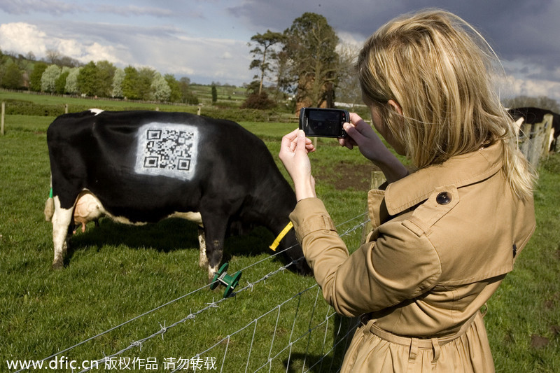 World now filled with QR code