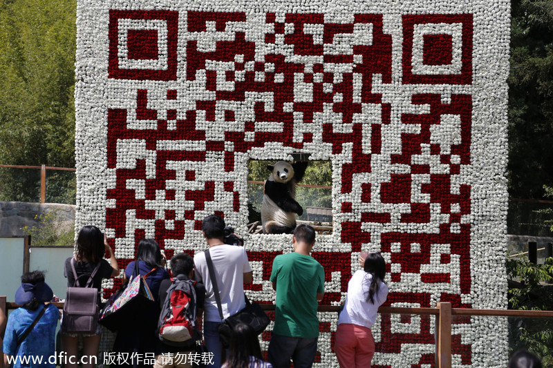 World now filled with QR code