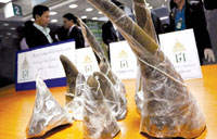 Chinese man sentenced in US for smuggling rhino horns