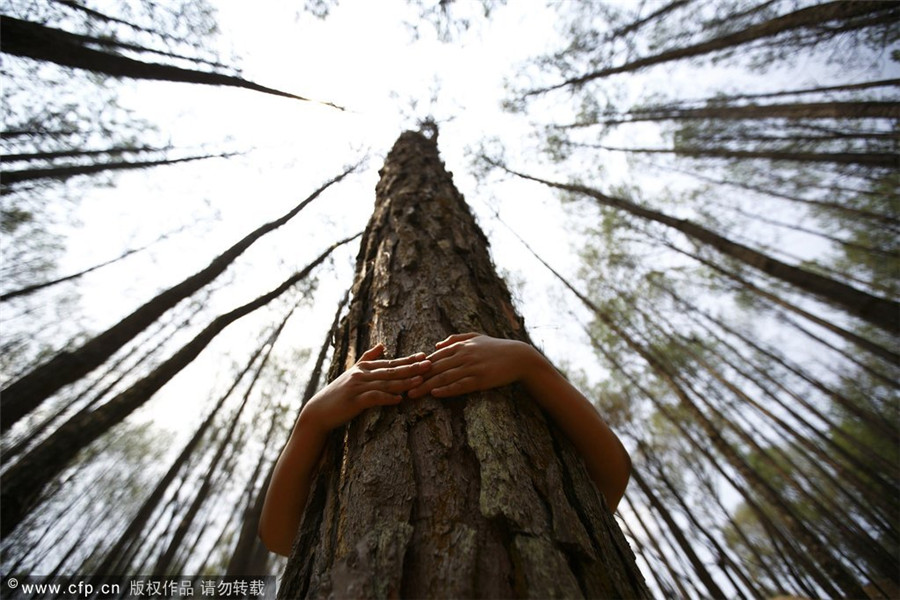 Nepalese students hug trees in world record bid