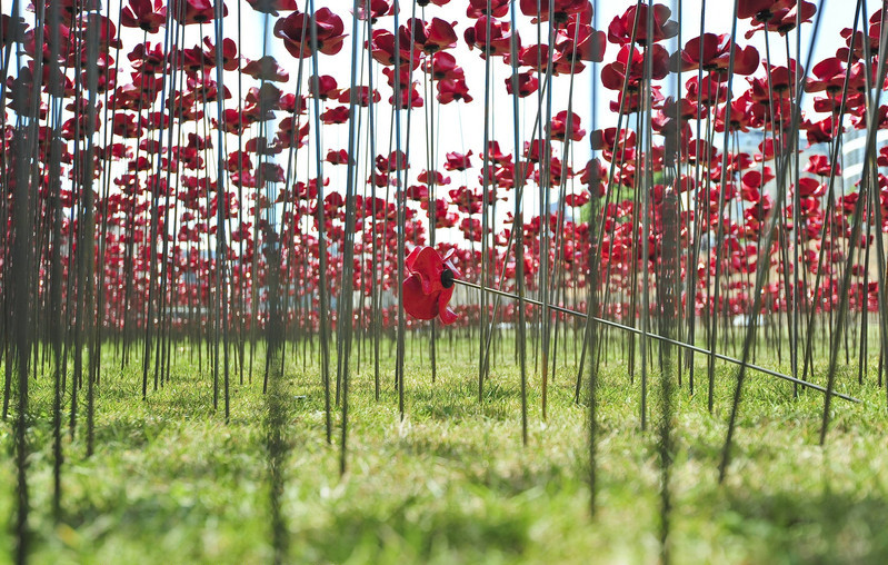 Ceramic poppies take shape at London Tower to mark WWI