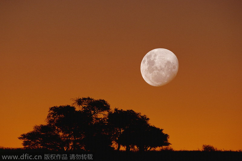 Fascinating full moons around the world