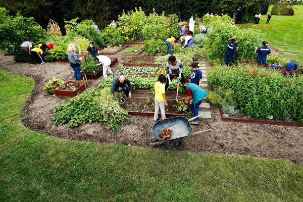 White House also produces harvest joy