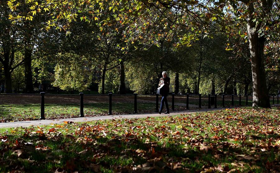 Glance of Central London after autumn rains