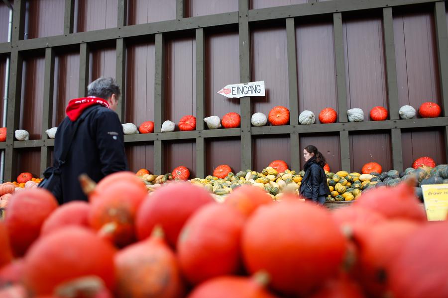 Annual pumpkin exhibition held in Germany