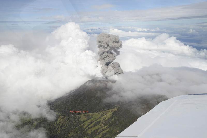 The world in photos: Oct 27 - Nov 2