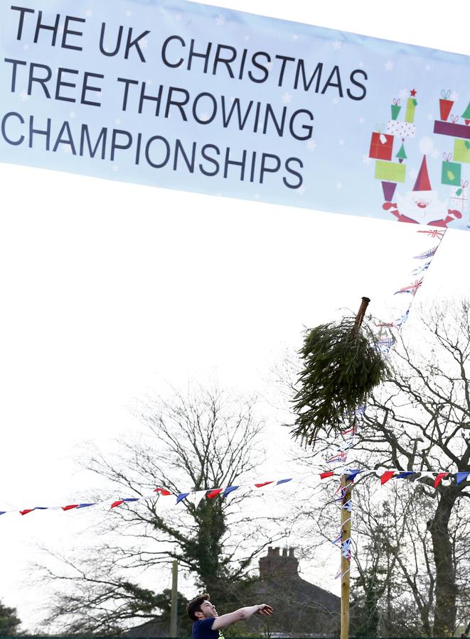 Christmas Tree Throwing Championships held in UK