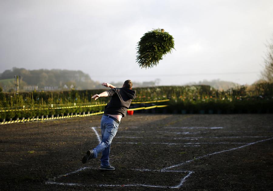 Christmas Tree Throwing Championships held in UK