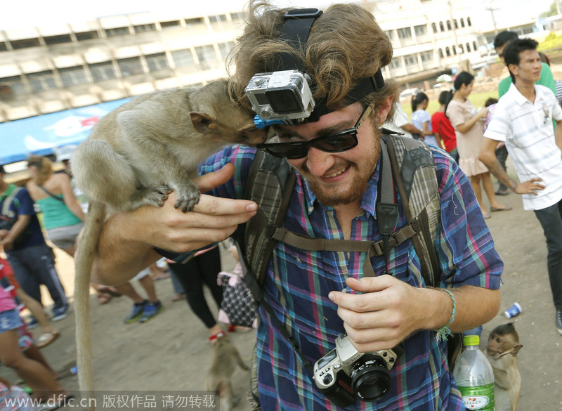 Monkeys have their 'Thanksgiving' in Thailand