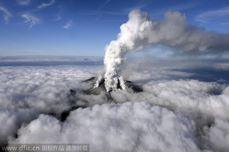 World news pictures of the year 2014