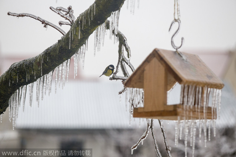 Central Europe freezes overnight