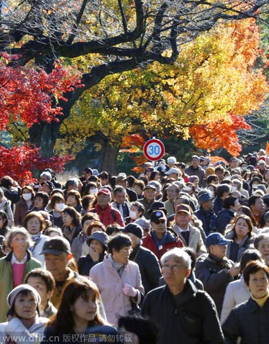 Japan's Imperial Palace partly opens to public for autumn leaves