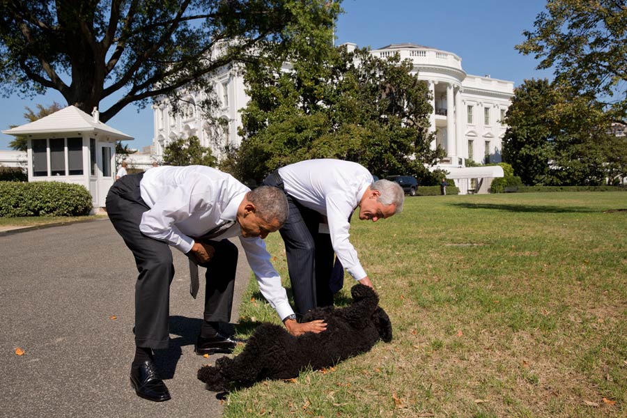 Obama's year in photos