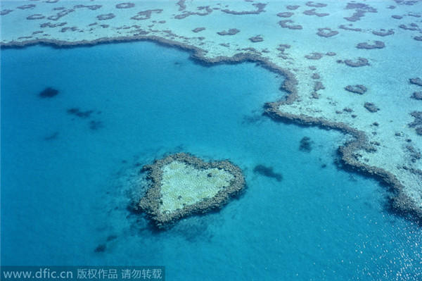 Natural love, hearts found in nature