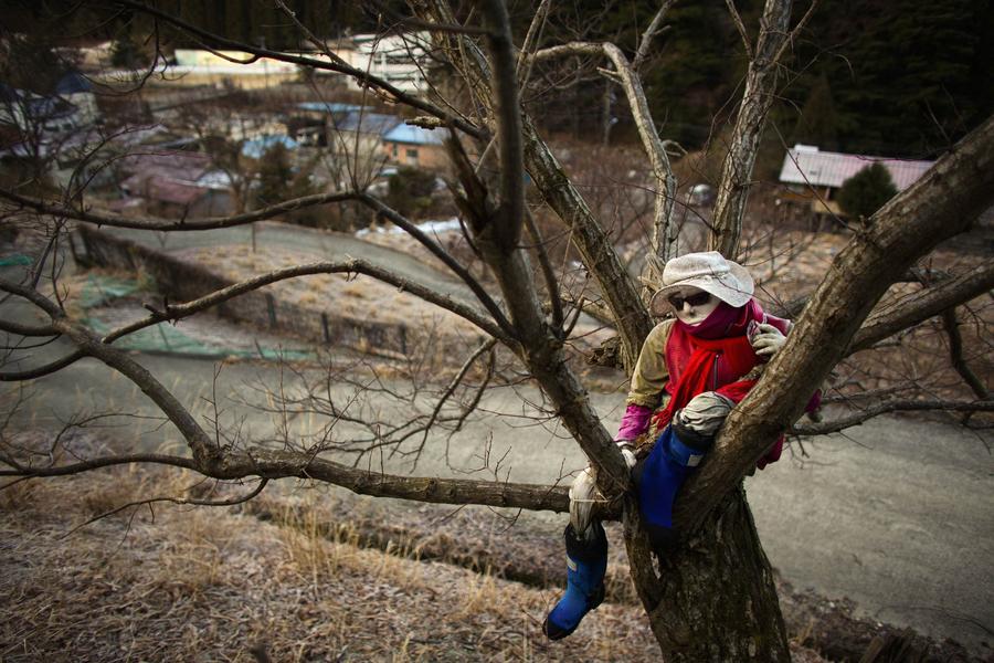 Time stands still in Japan's village of scarecrows