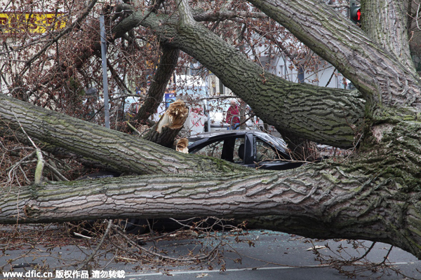 Storm 'Niklas' kills 3 in Germany, railway station ravaged