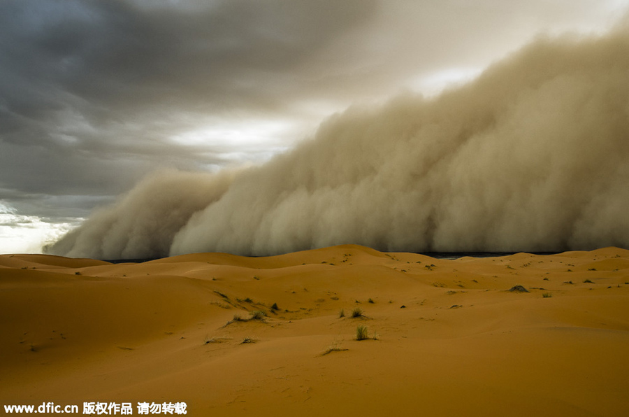 Sandstorms envelope global cities