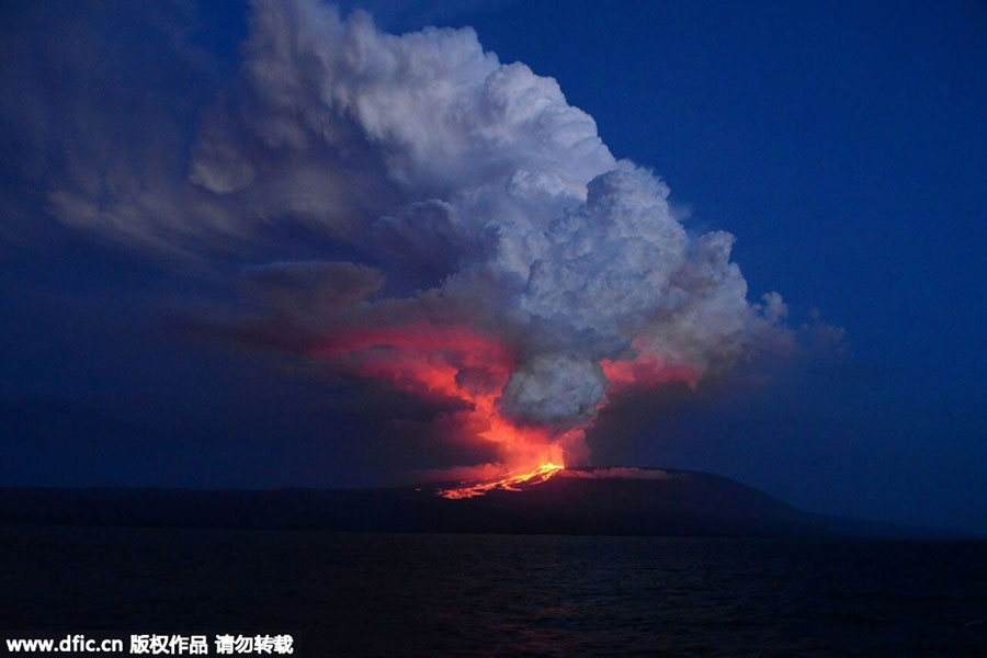 Volcano erupts in Ecuador's Galapagos Islands