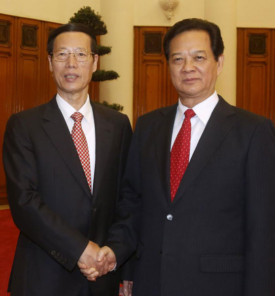 Vice-premier meets Vietnamese PM on reinforcing cooperation