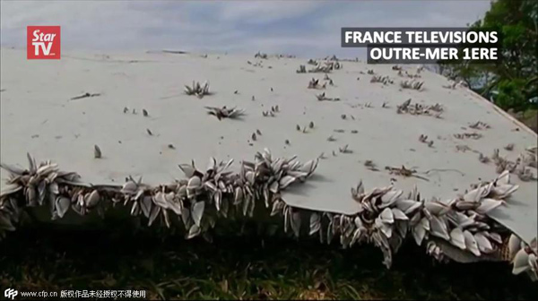 Picking up the aircraft pieces found on Réunion Island