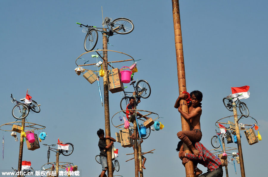 Men in Indonesia climb greased poles to win prizes