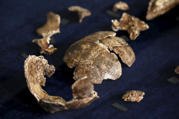 Fossil first: ancient human relative may have buried its dead