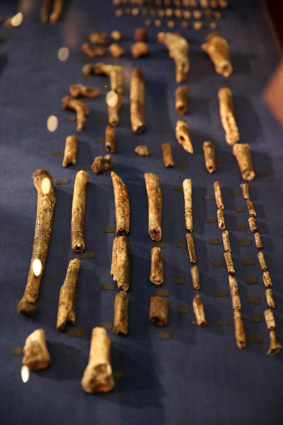 Fossil first: ancient human relative may have buried its dead