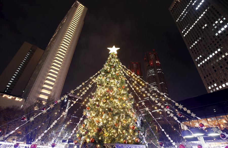 Christmas trees around the world