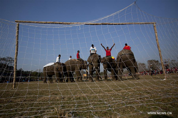 12th Elephant Festival held in Nepal