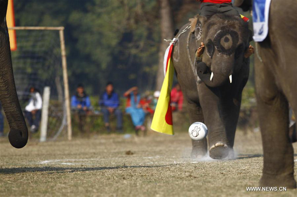 12th Elephant Festival held in Nepal